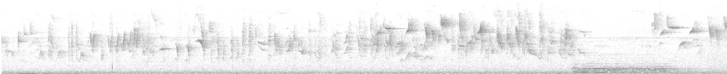 Three-striped Warbler (auricularis) - ML635394932