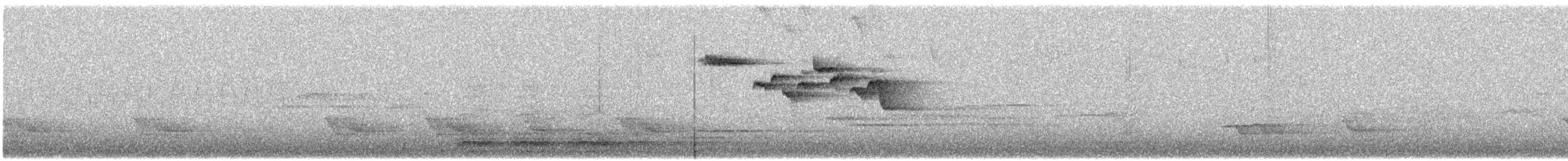 Amerikabaumläufer - ML635396508