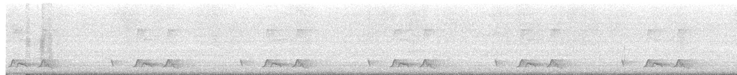 Chuck-will's-widow - ML635397678