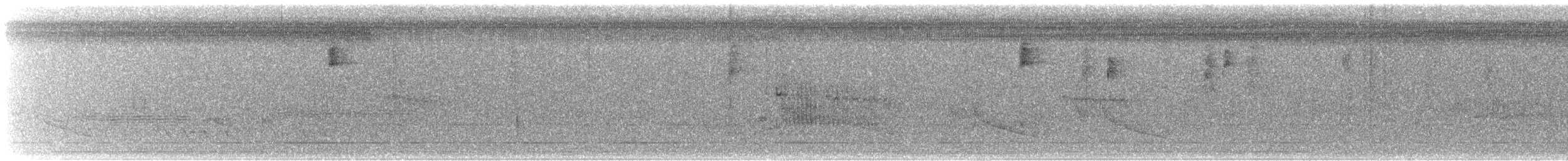 Yellow Warbler (Northern) - ML635398088