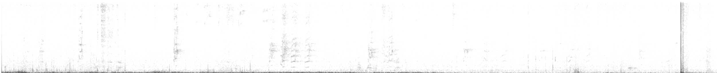 Black-winged Parrot - ML635398380