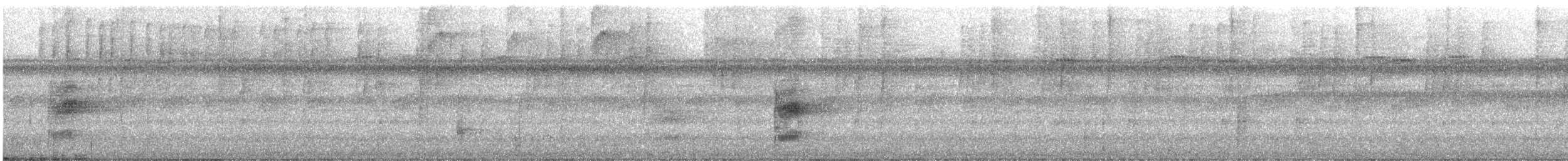 Western Woodhaunter - ML635401486