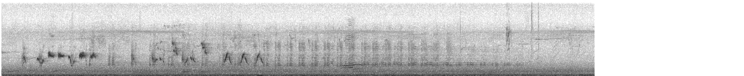 Australasian Darter - ML635401790