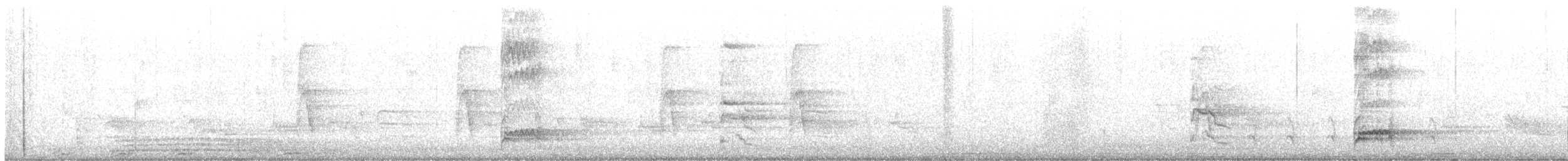 Carolinaspecht - ML635402428