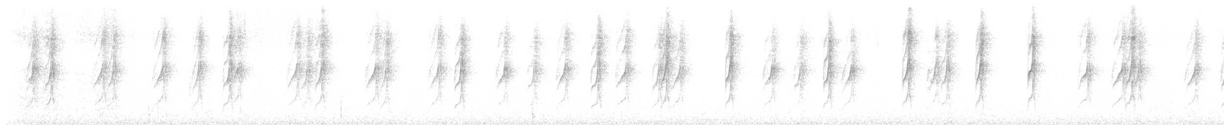 Necklaced Spinetail - ML635403373