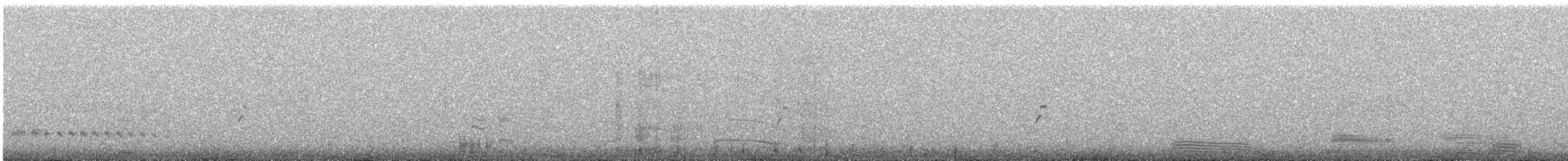 Chorlitejo Andino - ML635403495