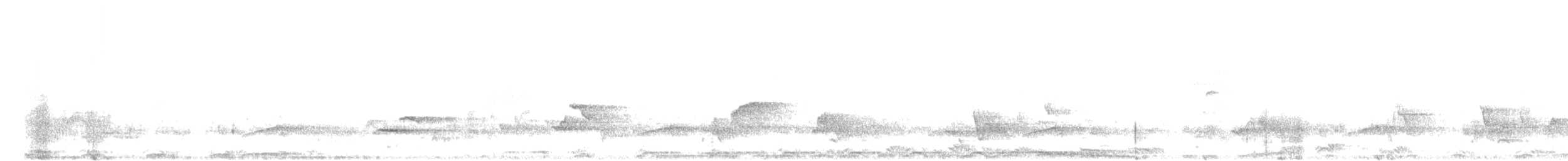 Barred Owl - ML635404561