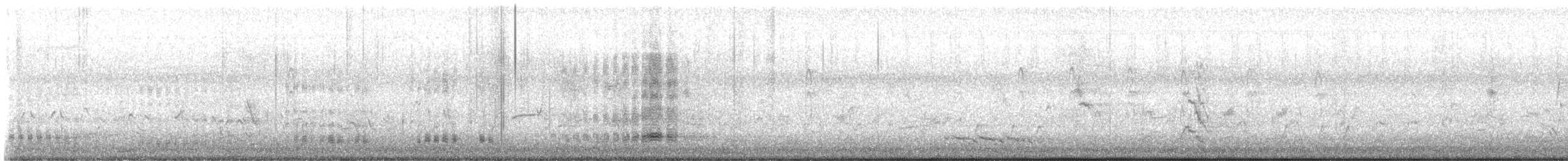 Australasian Darter - ML635406801