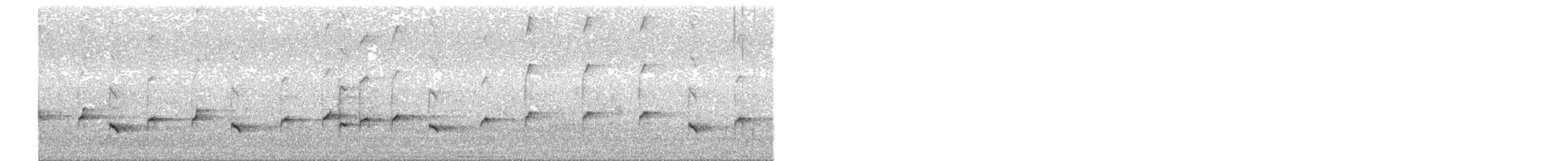 Широкохвістка китайська - ML635407919