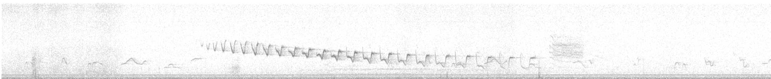 ムナジロミソサザイ - ML635408443