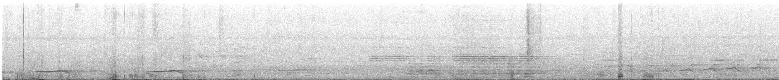 Koel Occidental - ML635412279