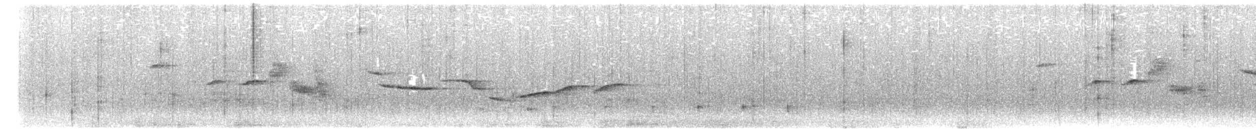 Nilgiri Sholakili - ML635413139