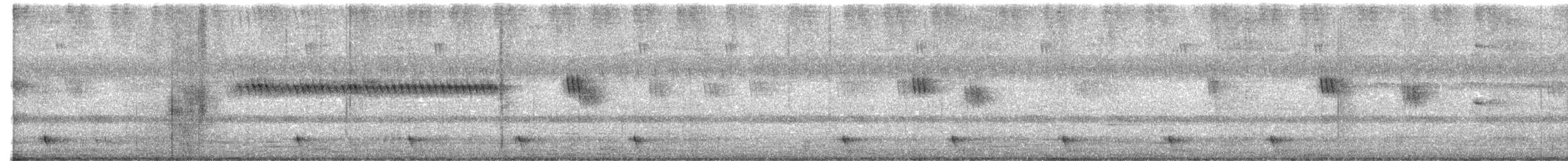 Chotacabras Macruro - ML635413256