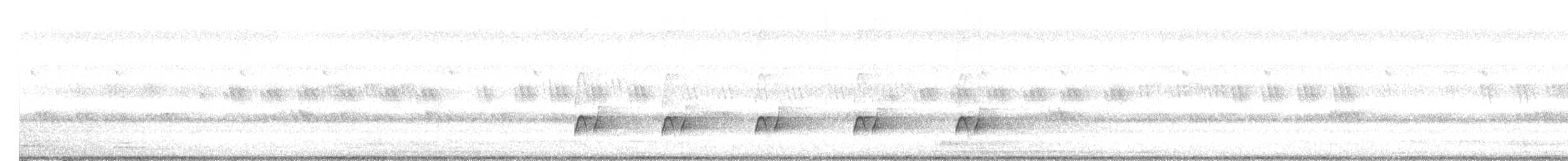 Greater Racket-tailed Drongo - ML635414665