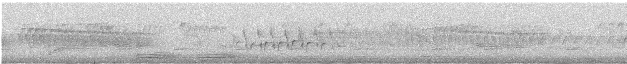 Northern Waterthrush - ML635417120