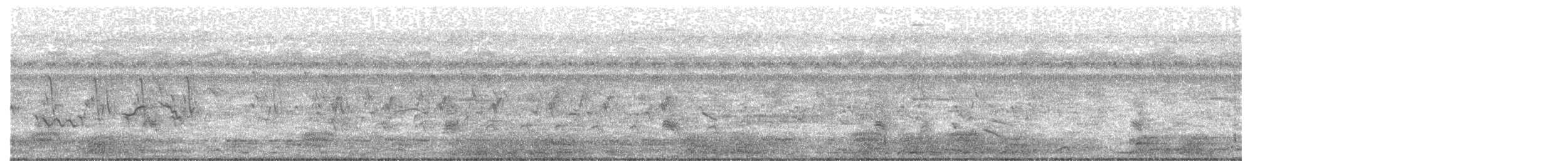 Brown Shrike (Brown) - ML635419124