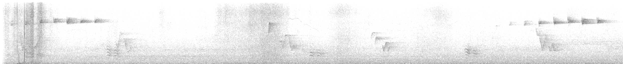 Blackpoll Warbler - ML635421139