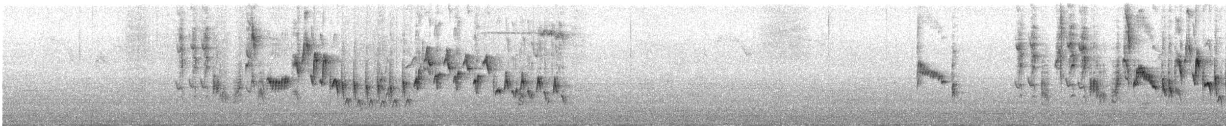 Northern House Wren - ML635421201