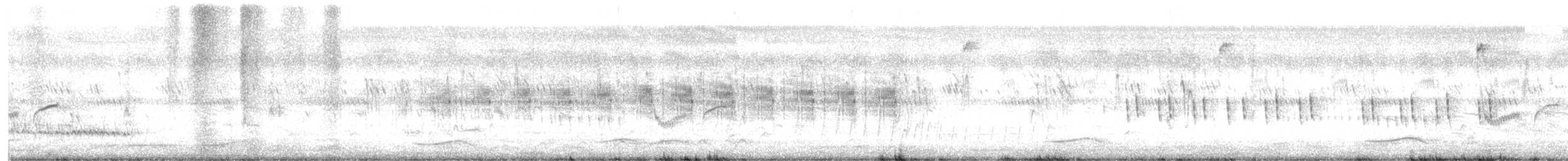 Plain Prinia - ML635421272