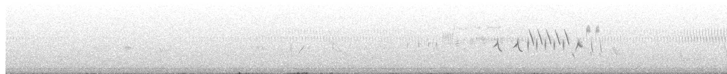 Common Grasshopper Warbler - ML635422388