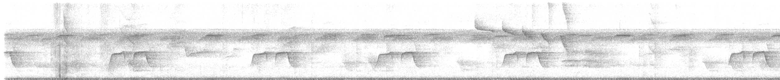 Dot-backed Antbird - ML635423720