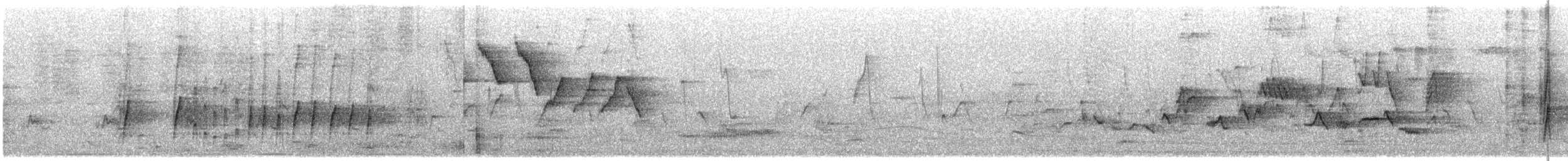 Schmalschnabel-Königstyrann - ML635427543