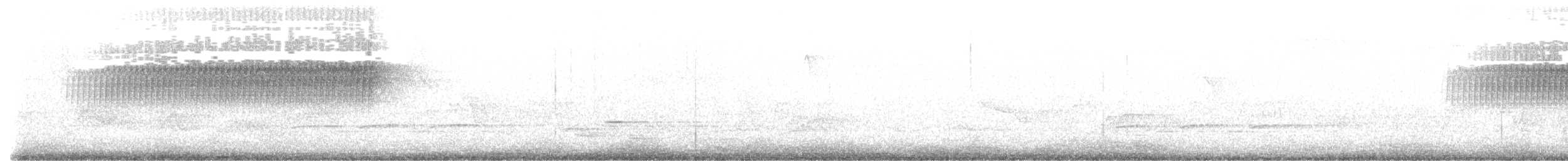 フタスジアメリカムシクイ - ML635428119