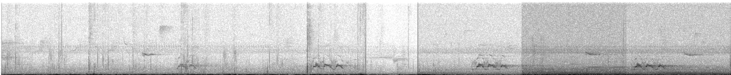 husa běločelá - ML635434848