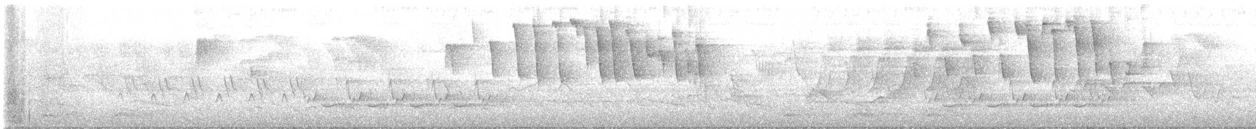 Tennessee Warbler - ML635436087