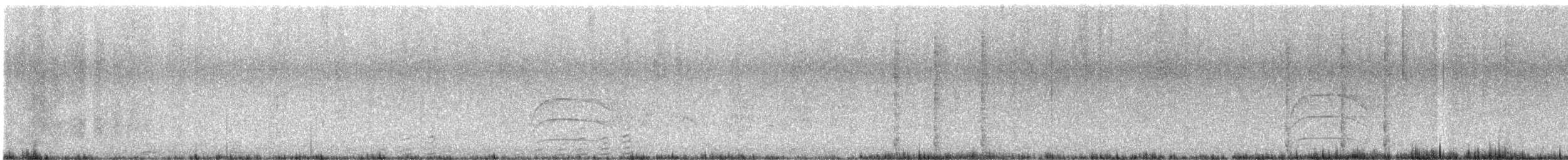 Gray-cowled Wood-Rail - ML635438034