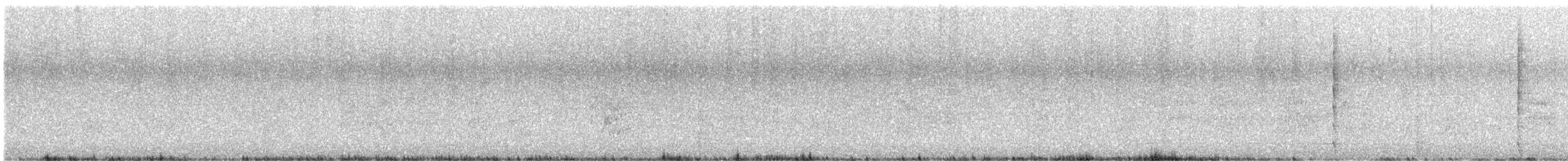 Gray-cowled Wood-Rail - ML635438035