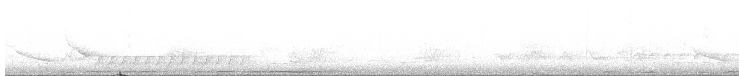 Barred Owl - ML635440138