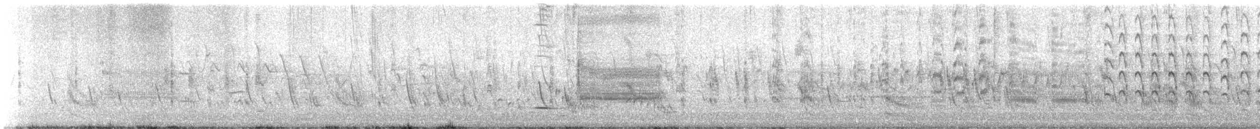 Forster's Tern - ML635440752