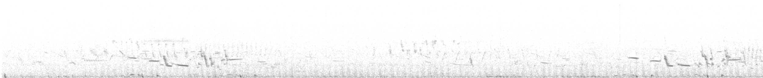 Greater Sage-Grouse - ML635445761