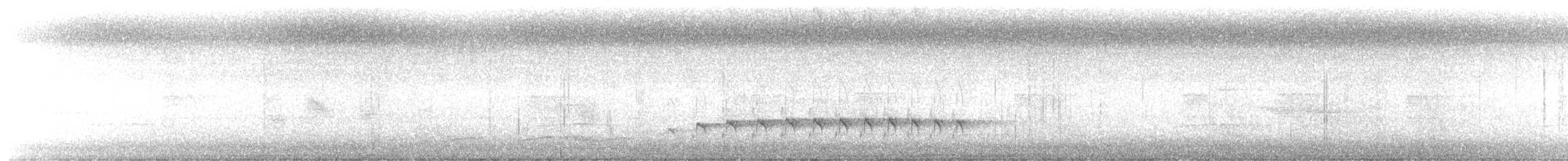 Dusky Antbird - ML635450306