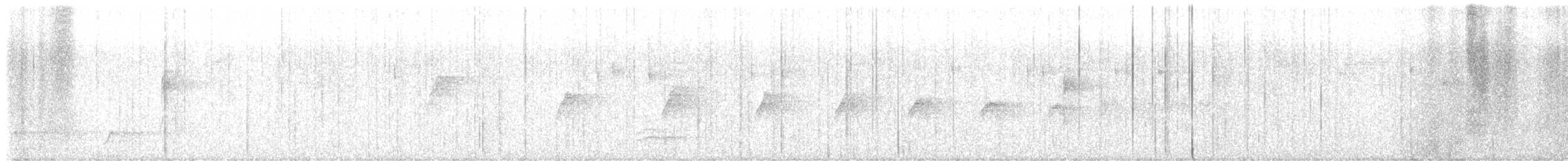 Short-tailed Antthrush - ML635450541