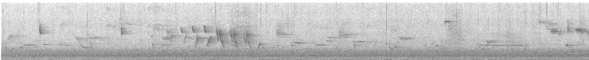 Northern Waterthrush - ML635451907