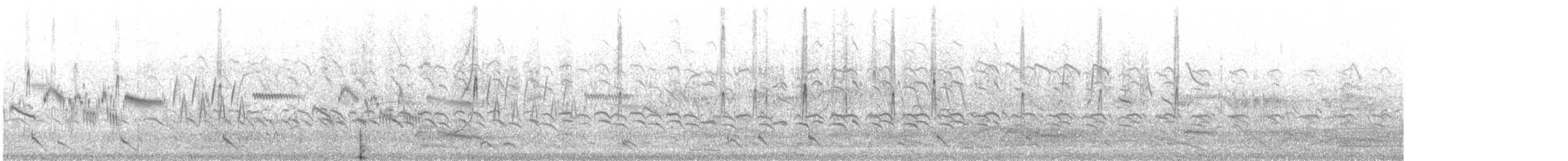 Volpoca - ML635452013