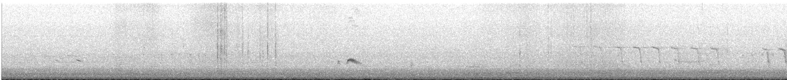 Ash-throated Flycatcher - ML635454528