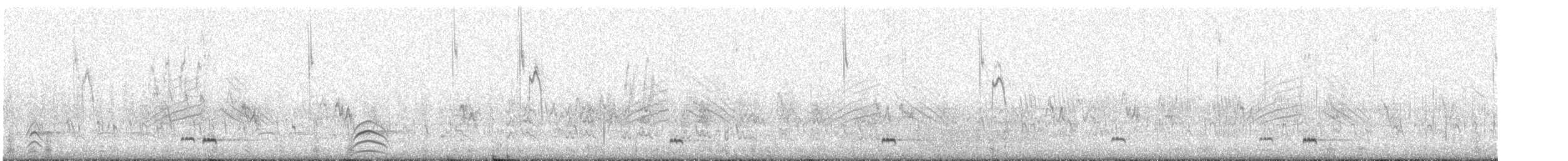 Yellow-billed Pintail - ML635454743