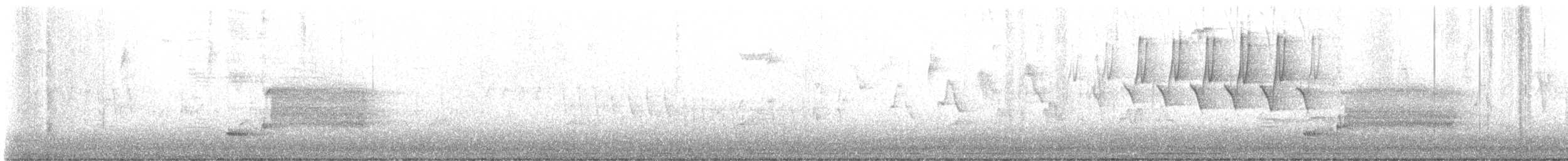 Prothonotary Warbler - ML635455272