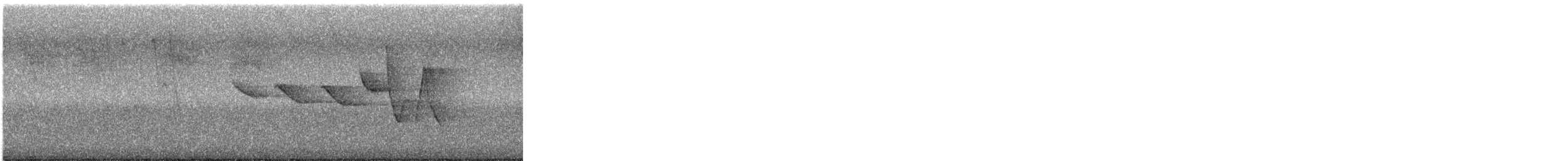 Swainson's Warbler - ML635455596