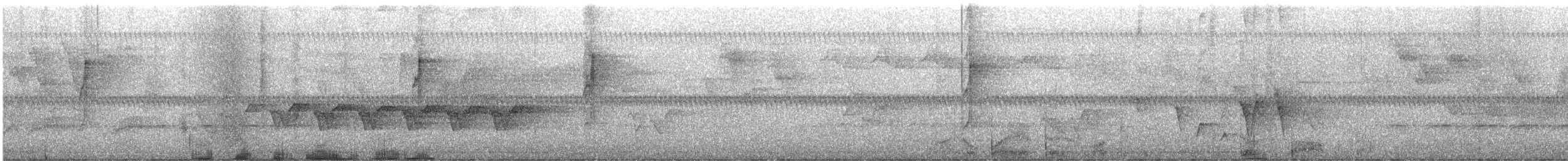 Connecticut Warbler - ML635456468