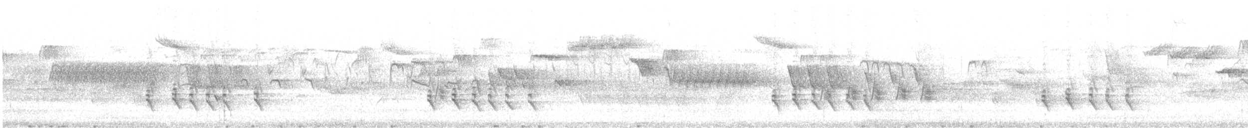 צלוב-מקור סקוטי - ML635456789