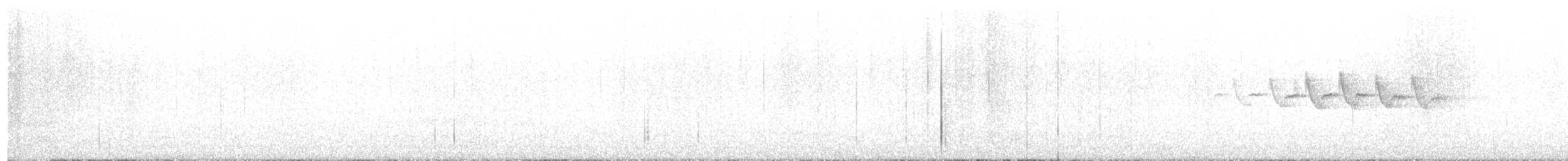 Yellow-rumped Warbler - ML635456794