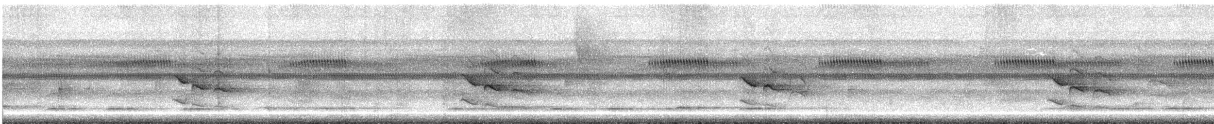 Long-winged Antwren - ML635457800