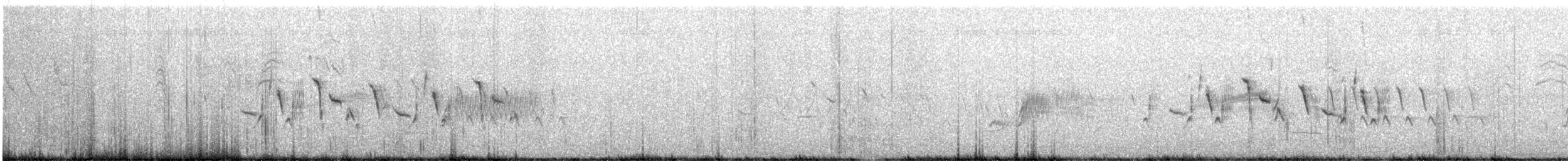 Bruant de Bell - ML635461304