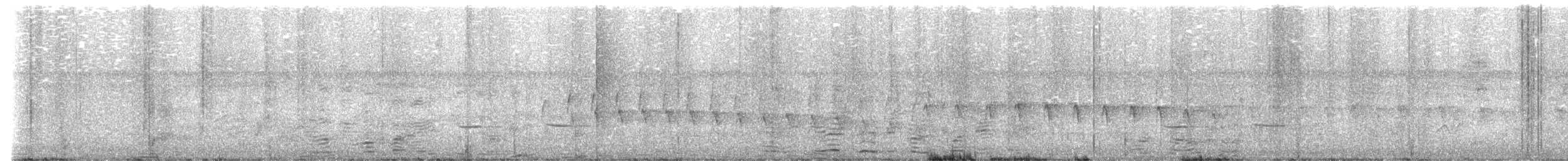 Striped Cuckoo - ML635461940