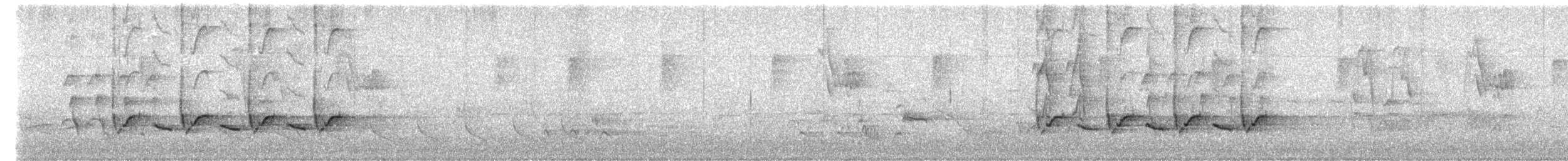 Carolina Wren - ML635462458