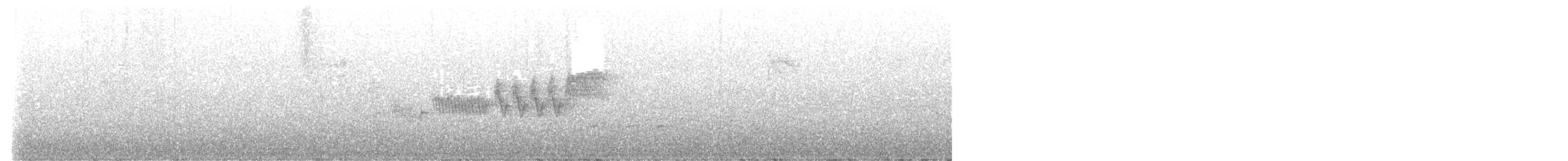 ミズイロアメリカムシクイ - ML635465621